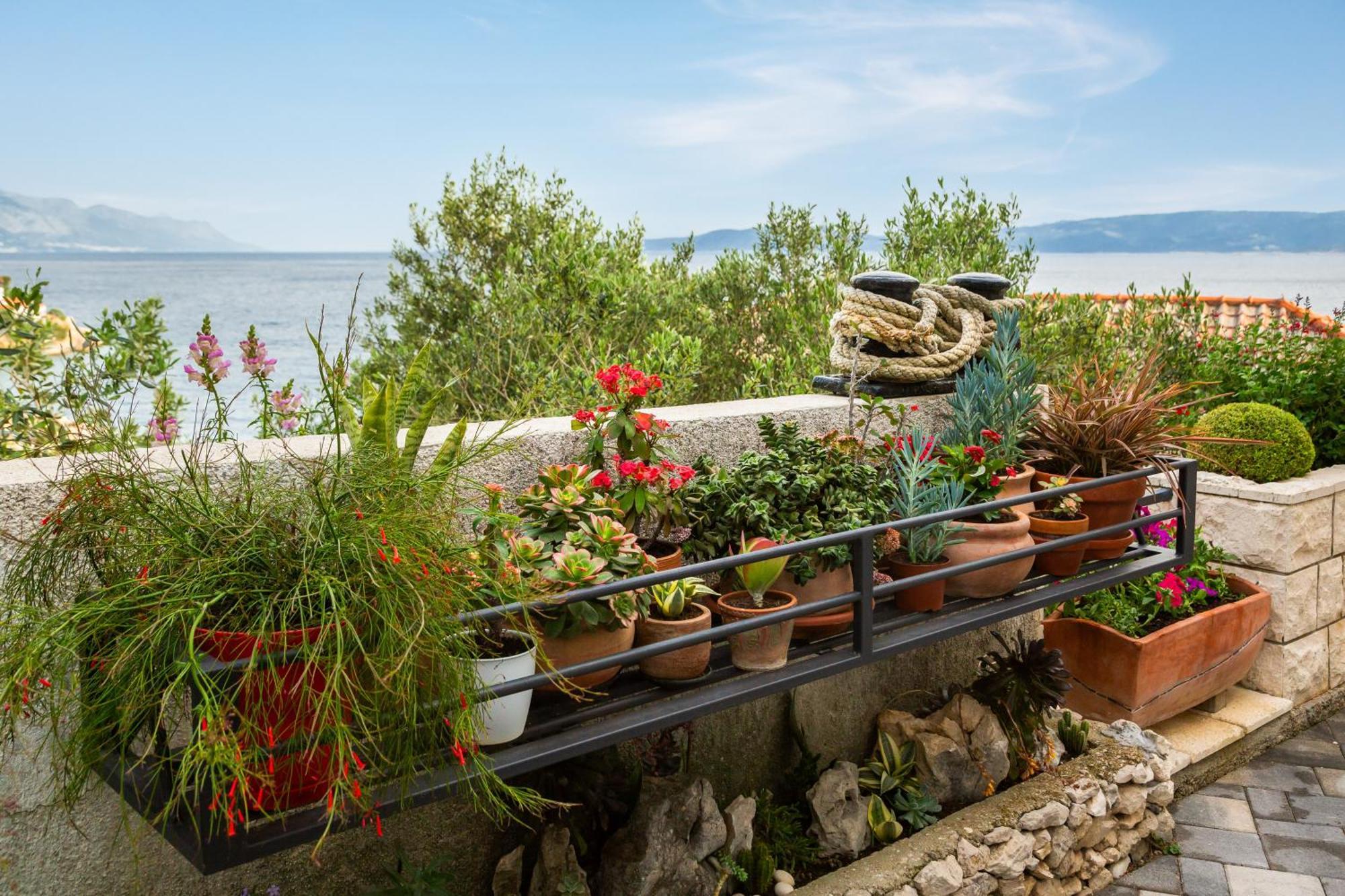 Seaside Apartment Kamelia Мимице Экстерьер фото